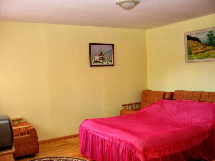 Smerekova Hata Hotel Ясиня Стая снимка
